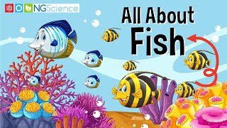 All About Fish [upl. by Anniala]