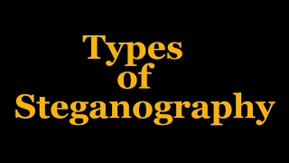 Types of Steganography [upl. by Ohce]