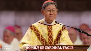 HOMILY OF CARDINAL TAGLE  NAIONAL EUCHARISTIC CONGRESS [upl. by Pamela]