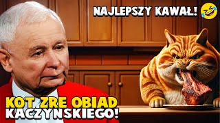 KACZYŃSKI WAŻY KOTA 🙀  Kawał o Jarosławie Kaczyńskim 😆 PARODIA AI [upl. by At352]