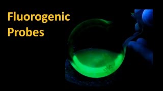 Turn On Fluorescence  Tetrazine Ligation Based Fluorogenic Probes [upl. by Oiril200]