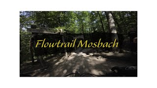 Flowtrail Mosbach  alle Strecken [upl. by Spancake]