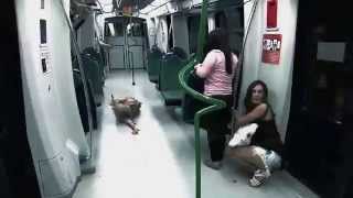 Broma Pesada  Zombies en el metro [upl. by Kyle]