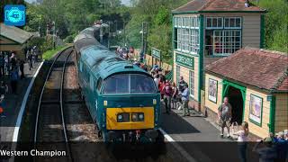 D1015 Swanage Railway 2024 [upl. by Eelinej]