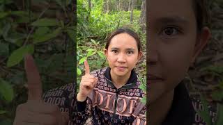 Survival Skills single mom with apple picker skills in forest survival outdoors skills cooking [upl. by Margarette]