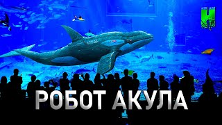 5МЕТРОВЫЙ РОБОТ АКУЛА И НЕВЕРОЯТНЫЕ ПОДВОДНЫЕ РОБОТЫ ЖИВОТНЫЕ [upl. by Nnaeinahpets]