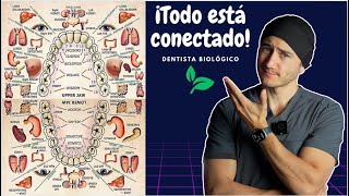 quotTodos quieren atenderse con un Dentista Biológicoquot [upl. by Seda]