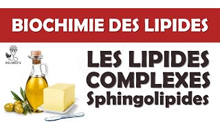 Biochimie des Lipides Complexes  Introduction aux Sphingolipides [upl. by Hserus357]