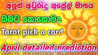 අප්‍රේල් මාසය 🌞 ඔබට කොහොමද  Apiri detailed prediction tarotsinhala tarotreading ටැරොට් [upl. by Koralie787]