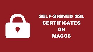 Create A Self Signed Certificate For Nodejs On MacOS [upl. by Hairym]