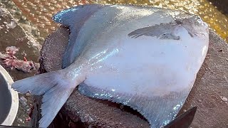 Amazing Big Pomfret Fish Cutting Skills Live In Fish Market  Fish Cutting Skills [upl. by Almeda]