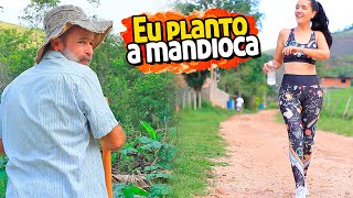 Comigo é assim eu planto a mandioca mesmo [upl. by Naahs]