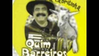 Quim Barreiros  A cabritinha Remix RBoy [upl. by Llertnov]