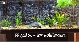 8 Tips For Building A Low Maintenance 55 Gallon Aquarium [upl. by Naanac438]