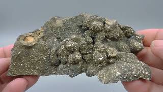 Marcasite from Germany – large cabinet size [upl. by Ahsata]