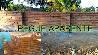 Construyendo mi barda pegado de ladrillo aparente  semana 5 [upl. by Arrad977]