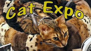 Cat Expo 2023 [upl. by Ueihttam559]