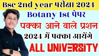 Bsc 2nd year Botany 1st Paper most Important questions 2024  Bsc 2nd year Botany model paper 2024 [upl. by Maurer]