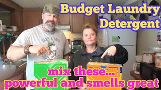 Budget Laundry Detergent  mix these [upl. by Maxine]