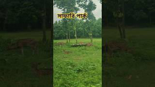 Safari Park Gazipur safaripark gazipur safari ExploreGazipur [upl. by Flori]