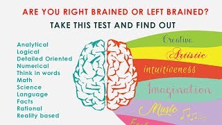 Are you right brained or left brained Take this brain dominance test and find out [upl. by Ecyob]