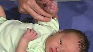 physical exam Newborn Normal Tone  Hand Position [upl. by Yerag959]