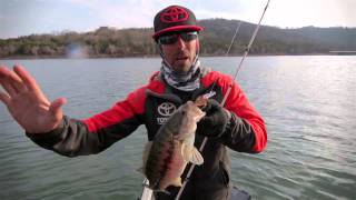 Finding Fishing Patterns with Crankbaits Scatter Rap [upl. by Nilorac]