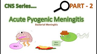 Acute Pyogenic Meningitis investigation treatment  CSF Analysis  CNS series CH9 Part 2 [upl. by Elades]