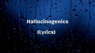 Matt Maeson  Hallucinogenics Lyrics [upl. by Lyj]