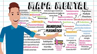 MAPA MENTAL MEMBRANA PLASMÁTICAciência mapamental [upl. by Lehcer]