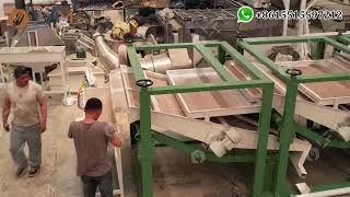 Sunflower Seeds Peeling Machine Fully Automatic [upl. by Ahsemo]