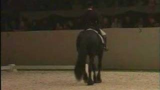 GOFFERT 369 Tribute KFPS Friesian Stallion [upl. by Nehgaem]