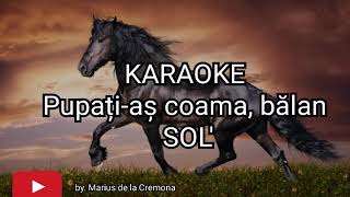 Pupațiaș coama bălan  KARAOKE [upl. by Etsirhc335]