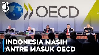 Malaysia Beri Sinyal Gabung BRICS Indonesia Tetap Fokus OECD [upl. by Yrokcaz]