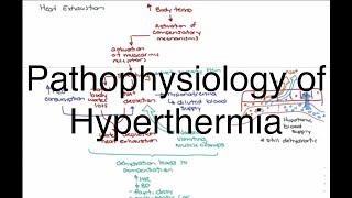 Hyperthermia Pathophysiology [upl. by Ahsinor]