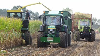 Maisernte 2024  Youngtimer Field Day  Mais Silage  Lots of Machinery in The Field [upl. by Conny]