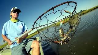 Crabbing Herring Creek Lewes De [upl. by Dorcia]