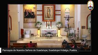 EN VIVO Celebración Eucarística San Junípero Serra presbítero [upl. by Elocim414]