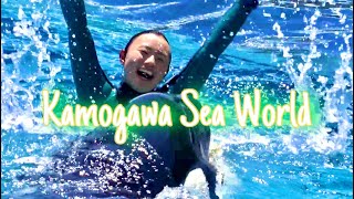 ランちゃんに届け！圧巻のシャチパフォーマンス 鴨川シーワールド Kamogawa Sea World [upl. by Ariom]