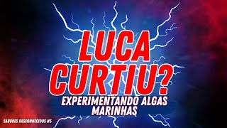 EXPERIMENTANDO ALGAS MARINHAS LUCA CURTIU Sabores Desconhecidos 3 [upl. by Plumbo]