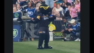 NRL Penrith Panthers Mascot Claws 4th August 2024 [upl. by Angelico]