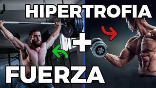 Alimento para aumentar masa muscular Maximiza tu ejercicio e hipertrofia muscular [upl. by Aieka889]