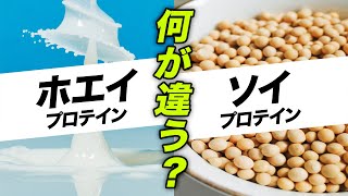 【🔰初心者】ホエイプロテインとソイプロテインの違い・特徴・使い分け方を解説「ビーレジェンド管理栄養士 堀のプチ栄養講座」【ビーレジェンド プロテイン】 [upl. by Sidhu617]