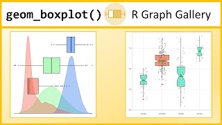 Boxplots in R with ggplot and geomboxplot R Graph Gallery Tutorial [upl. by Lalitta458]