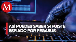 ¿Cómo saber si he sido espiado con Pegasus [upl. by Arzed]