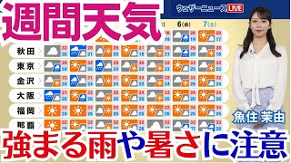 【週間天気】強まる雨や暑さに注意 新たな台風の発生も [upl. by Nimzay989]