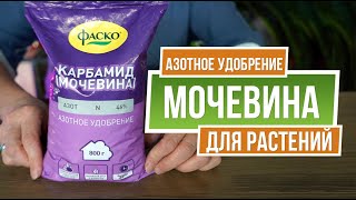 Чем Полезна Мочевина для почвы ✔️ Применение Карбамида в саду [upl. by Ogir]