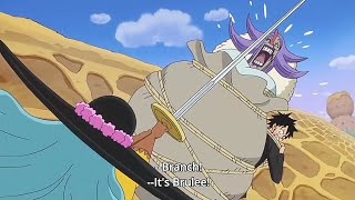 Luffy uses Brulee as a Shield  One Piece Ep 859 [upl. by Clementia]