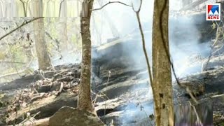 Kerala bans trekking in forests after Theni wildfire tragedy [upl. by Hun]