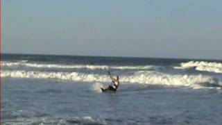 Ponce Inlet Kiteboarding Surf Session [upl. by Akenahc]